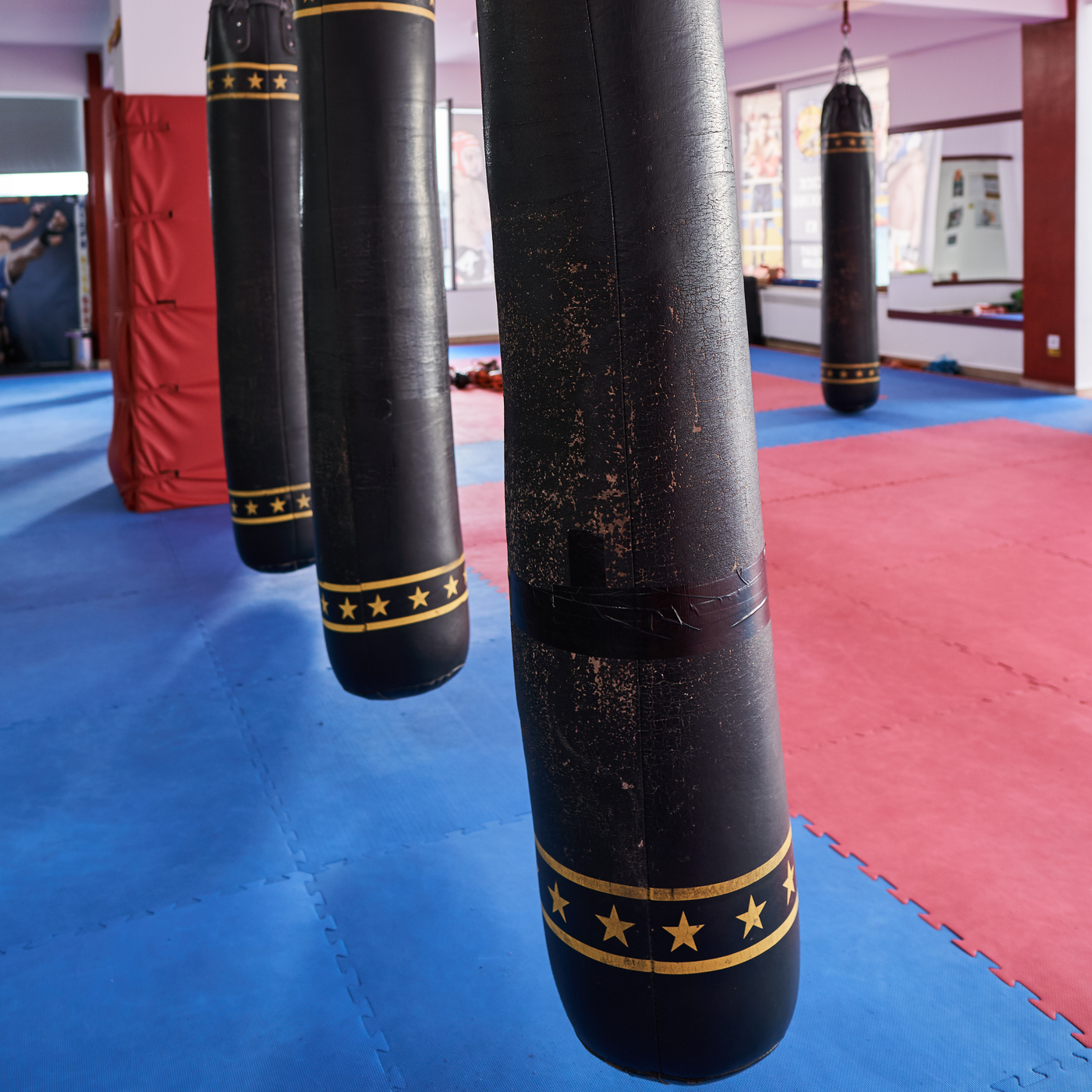WarriorPRO Martial Arts Mats | Reversible | 1mx1m