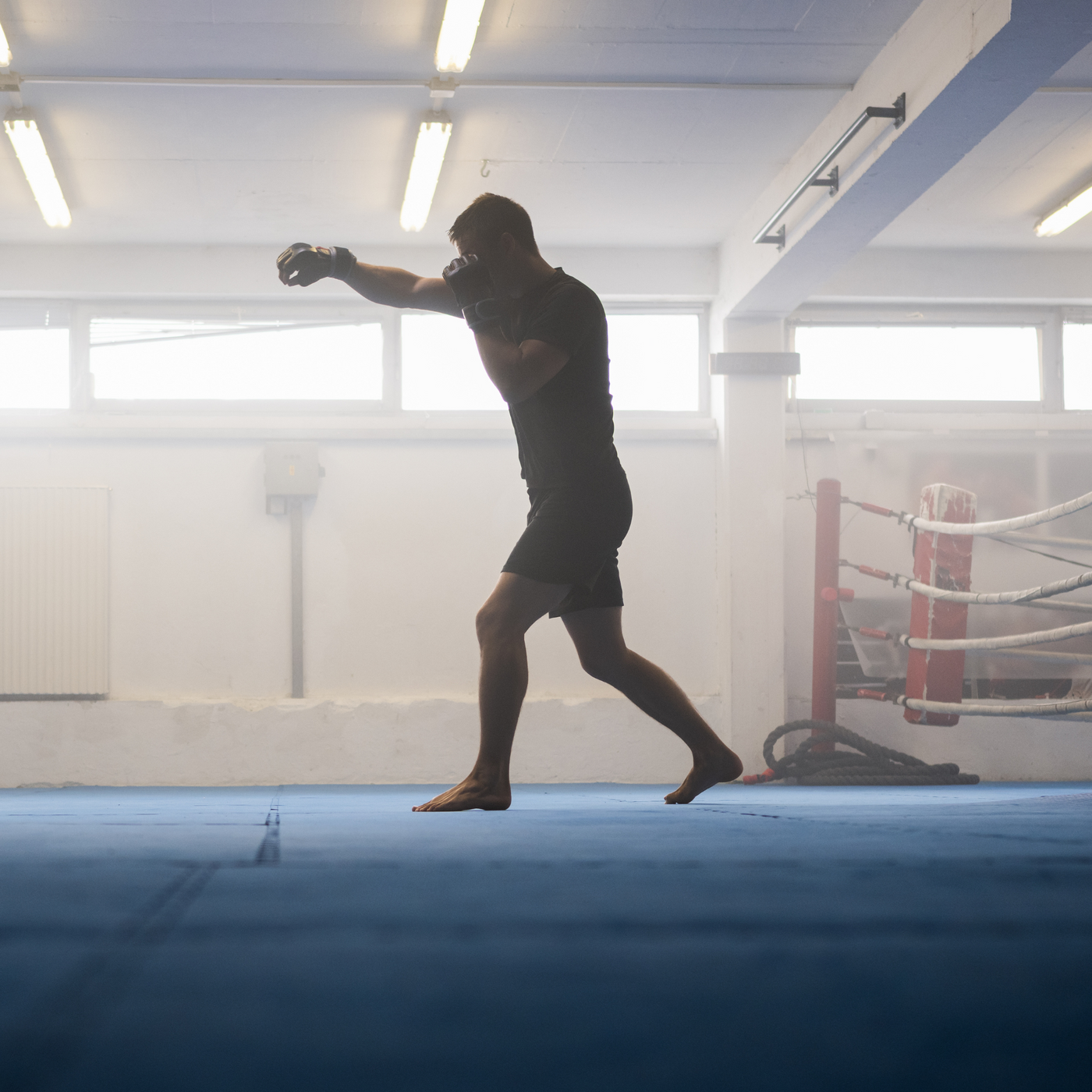 WarriorPRO Martial Arts Mats | Reversible | 1mx1m